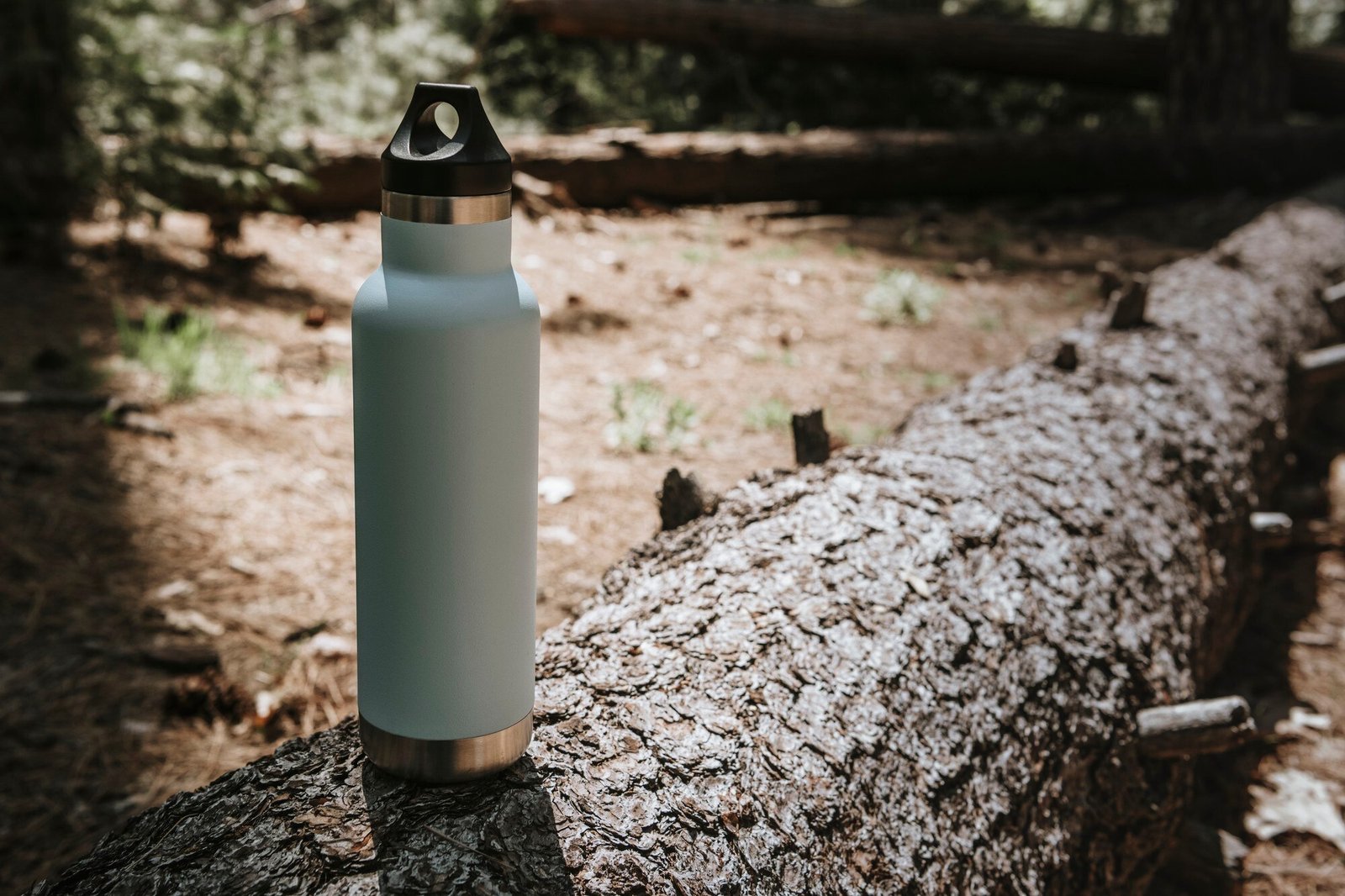 Why Stainless Steel Bottles Are the Future of Sustainable Living